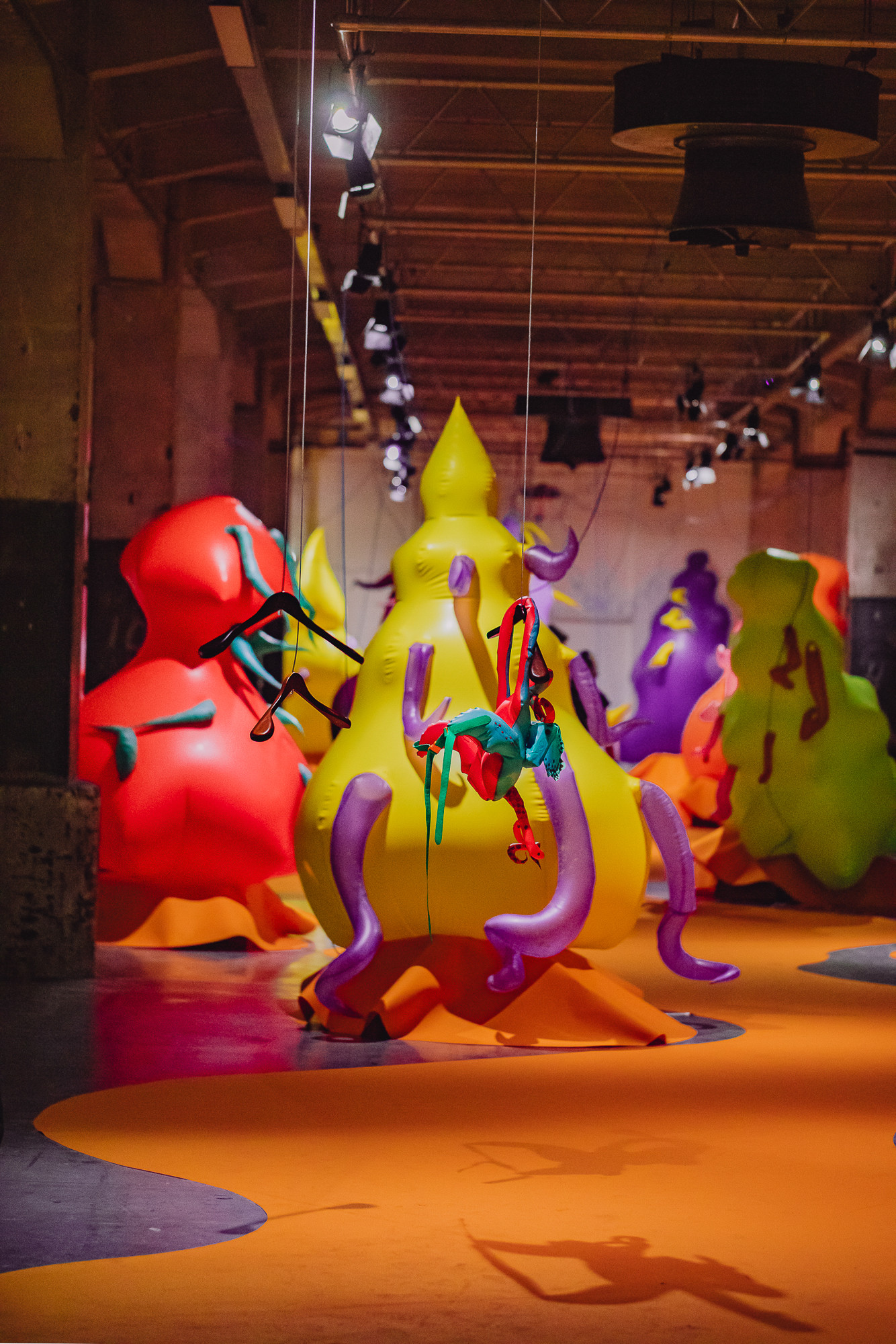 loods6_sympoietic_shapes_1st_42